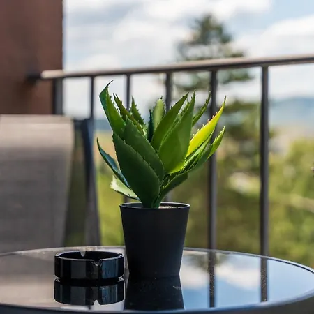 The Point In Titova *