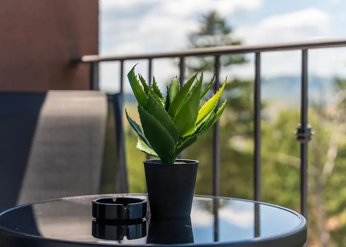 The Point In Titova *